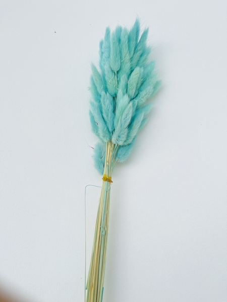 Bó Hoa Khô Decor Nhiều Màu SALE xả KHO