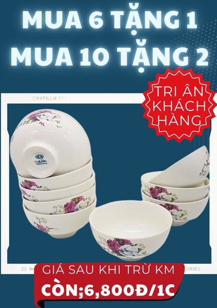 CHÉN SỨ ĂN CƠM HOA VĂN ( 10 TẶNG 2)