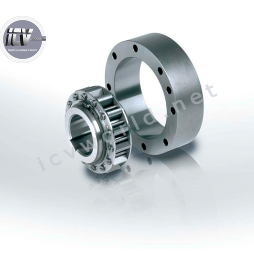 clutch-bearing-series-rsci-20-130