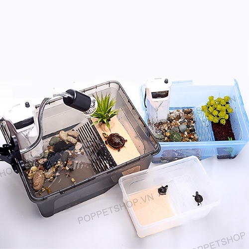 Hộp Nuôi Rùa Nước - Chậu Nhựa Nuôi Rùa Để Bàn - Phụ kiện Cá Cảnh