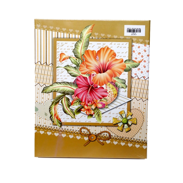 ABCP1 -200 ảnh hộp đẹp