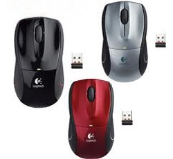 Mẫu chuột 6