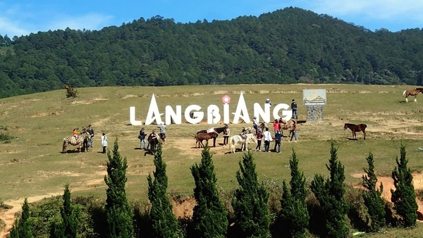 TOUR DU LỊCH LANGBIANG ĐÀ LẠT 1 NGÀY