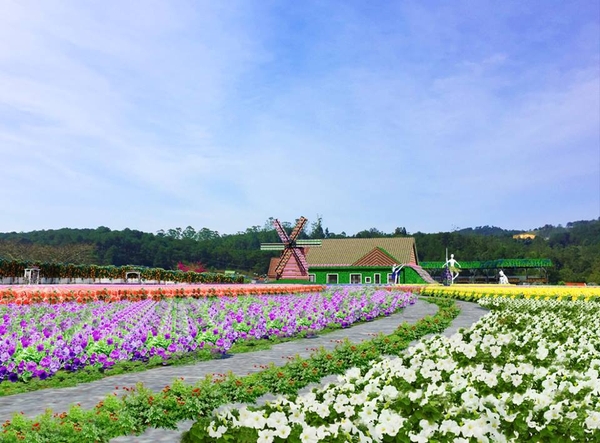 Tour Ngoại Thành Đà Lạt 1 ngày
