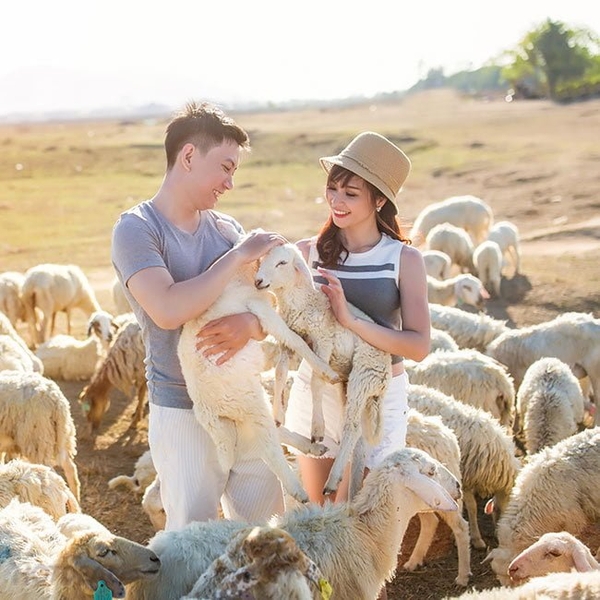 Tour Du Lịch Nha Trang – Đồng Cừu Bình Lập 4 Ngày 3 Đêm