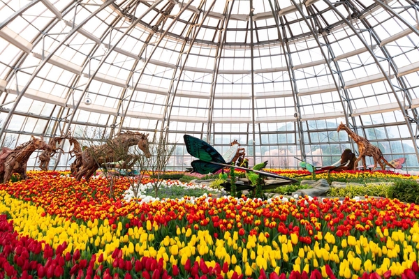 Tour Vinpearl Land Nha Trang 1 Ngày [Trọn Gói - Ưu Đãi 30%]