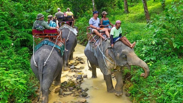 TOUR DU THUYỀN CƯỠI VOI ĐÀ LẠT 1 NGÀY