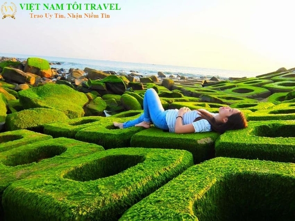 City Tour Nha Trang 1 Ngày [Giá Rẻ - Chất Lượng - Giảm 30%]