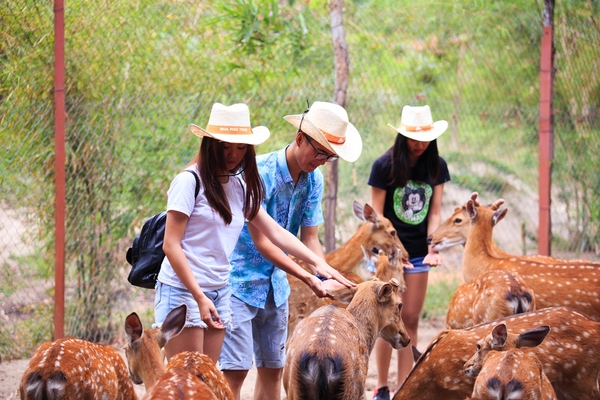 Tour Nha Trang Đảo Khỉ 4 Ngày 3 Đêm