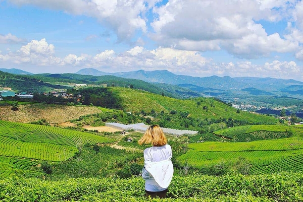 Tour Du Lịch Khám Phá Đà Lạt