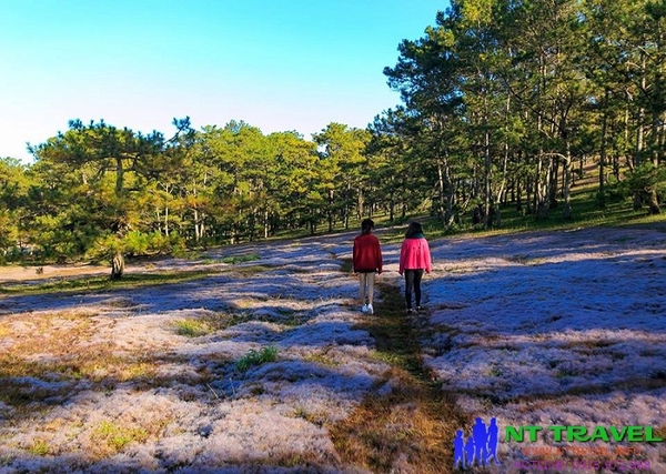Tour Nha Trang Đà Lạt 2 Ngày 1 Đêm [Trọn Gói - Tiết Kiệm 28%]