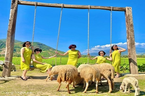 Tour Hang Rái Vĩnh Hy - Vườn Nho - Đồng Cừu