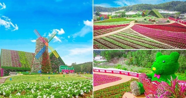 TOUR DU LỊCH NGOẠI THÀNH 1 NGÀY ĐÀ LẠT HẤP DẪN