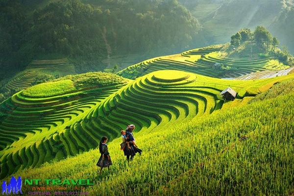 Tour Nha Trang – Hà Nội – Sapa 4 Ngày 4 Đêm