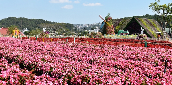 Tour Du Lịch Sài Gòn Đà Lạt 2 Ngày 2 Đêm