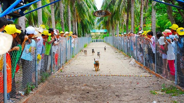 Tour Đảo Khỉ Nha Trang - Đảo Hoa Lan [Ưu Đãi 30% - Trọn gói]