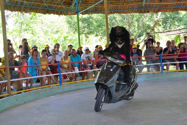 MONKEY ISLAND NHA TRANG TOUR