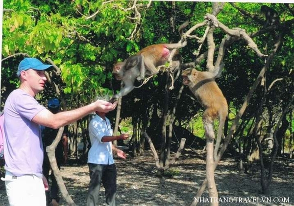 Tour Nha Trang Đảo Khỉ 4 Ngày 3 Đêm