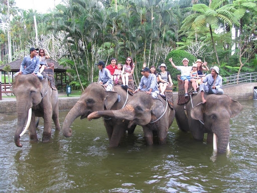 TOUR DU THUYỀN CƯỠI VOI ĐÀ LẠT 1 NGÀY