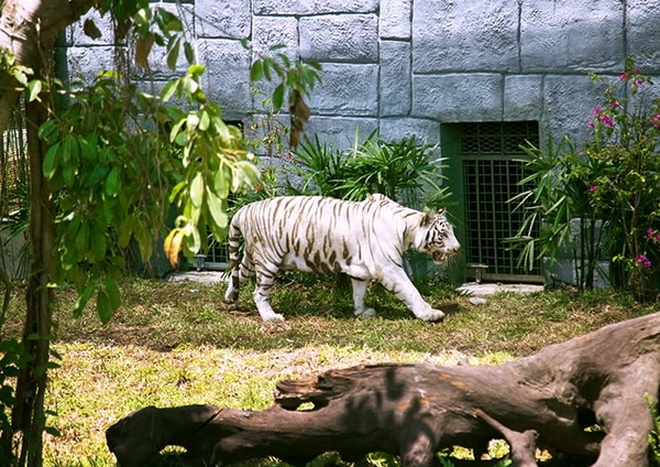 TOUR DU LỊCH NHA TRANG 3 NGÀY 2 ĐÊM [Trọn Gói Tốt Nhất Giảm 30% ]