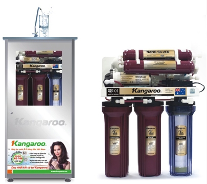 Cảnh báo về nguy cơ amip ăn não người và giải pháp