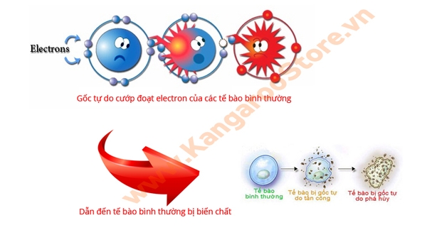 Chỉ số ORP là gì? Máy lọc nước Kangaroo KG109 tạo nước có chỉ số ORP bao nhiêu?