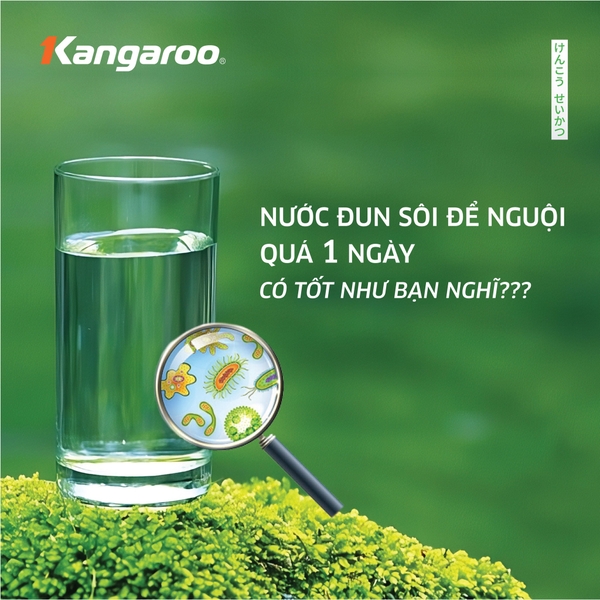 NƯỚC ĐUN SÔI ĐỂ NGUỘI CÓ TỐT NHƯ BẠN NGHĨ?
