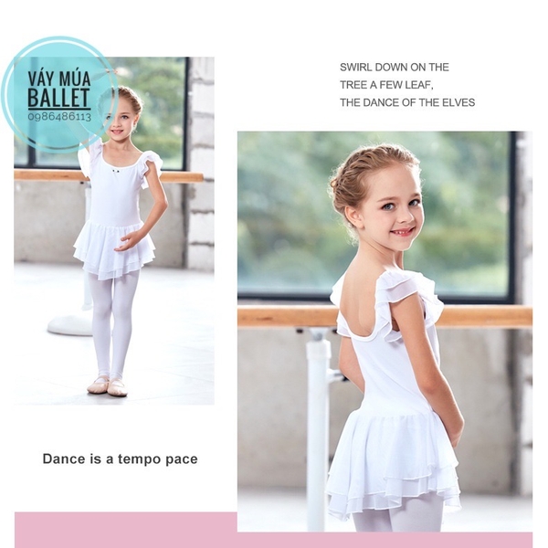 Váy tập múa tiên voan 2 tầng (hồng, xanh, tím, đen)