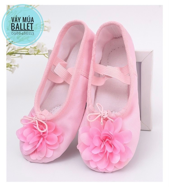 Giày vải múa hoa to (hồng, kem)