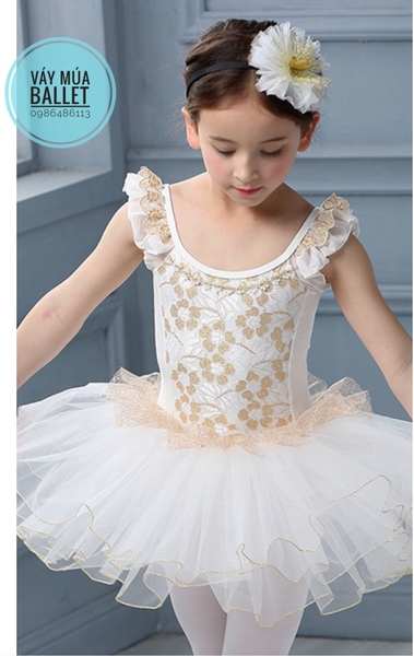 Váy múa ren đồng cao cấp