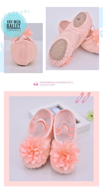 Giày vải múa hoa to (hồng, kem)