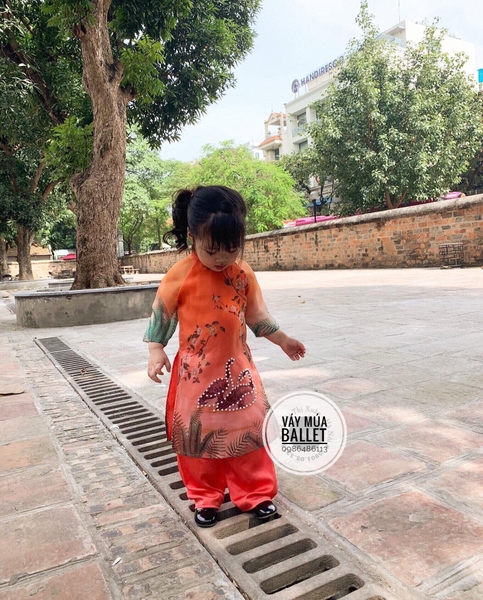 Bộ áo dài cam đôi vịt cườm