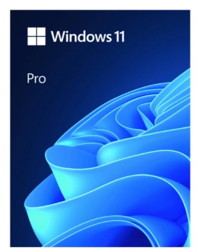 Phần mềm Microsoft Windows Pro 11 64Bit USB FPP/HAV-00163