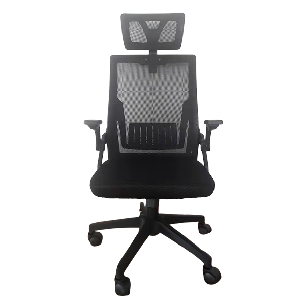 Ghế công thái học E-DRA - EEC218