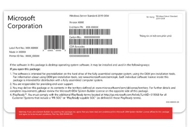 Hệ điều hành Microsoft Windows Server Standard 2019 64Bit English 1pk DSP OEI DVD 16 Core (P73-07788)