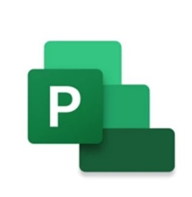 Phần mềm Microsoft Project standard 2024 All Lng Retail Online ESD (EP2-07057)