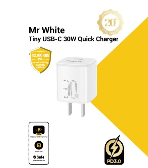 PISEN QUICK - Mr White Tiny USB-C 30W