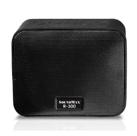 Loa SoundMax R-300