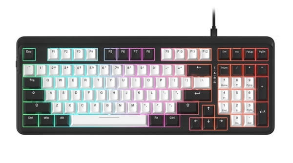 Bàn phím cơ Gaming DAREU EK98 WHITE x BLACK (Multi-Led, PBT Double Shot OEM profile)