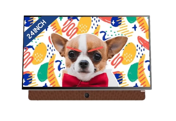 Tivi xách tay di động SKYWORTH 24P6300