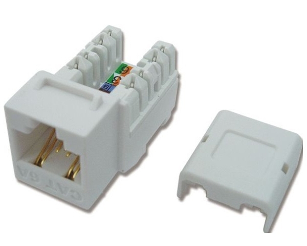 Modular Jack - Ổ cắm CAT.6A DINTEK (1305-05008)