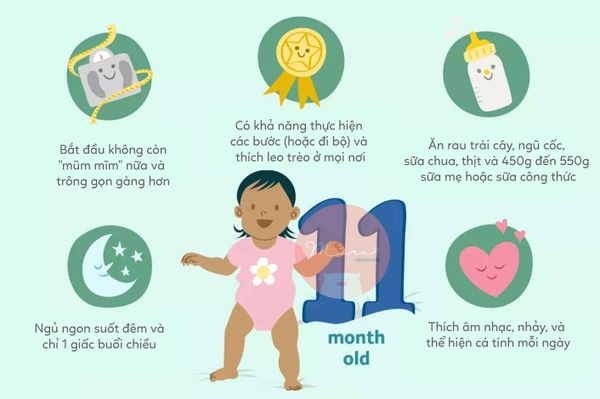 Sự phát triển của em bé 11 tháng tuổi