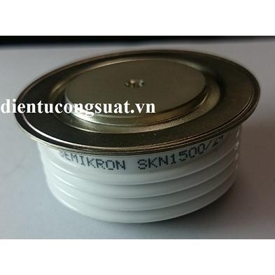 skn1500-24