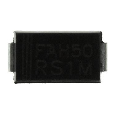 rs1m