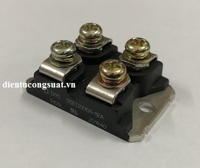 dsei2x101-12a