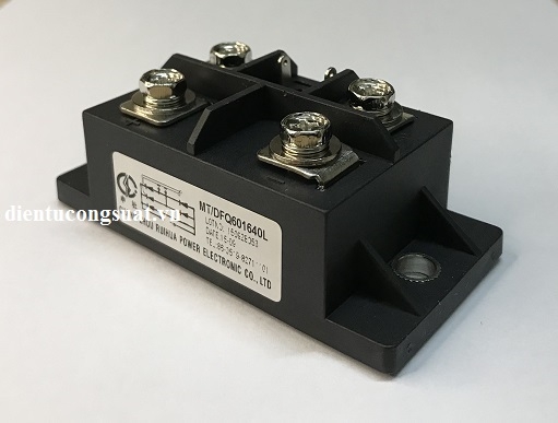 mt-dfq601640l