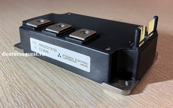 pm300dv1a120