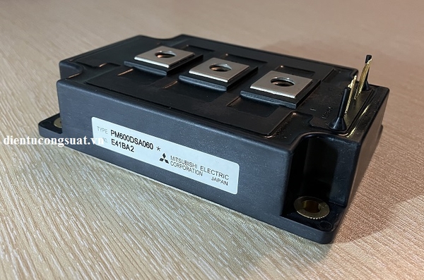 pm600dsa060
