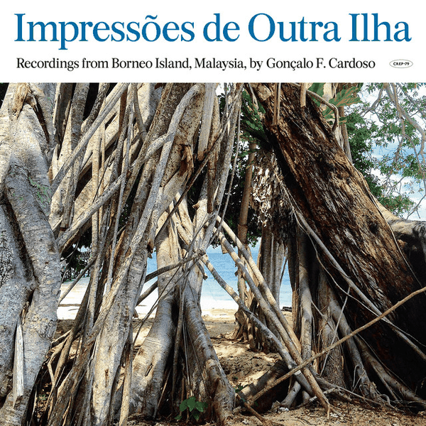 Impressões De Outra Ilha (Recordings From Borneo Island, Malaysia, By Gonçalo F. Cardoso)