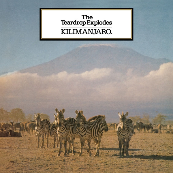 Kilimanjaro